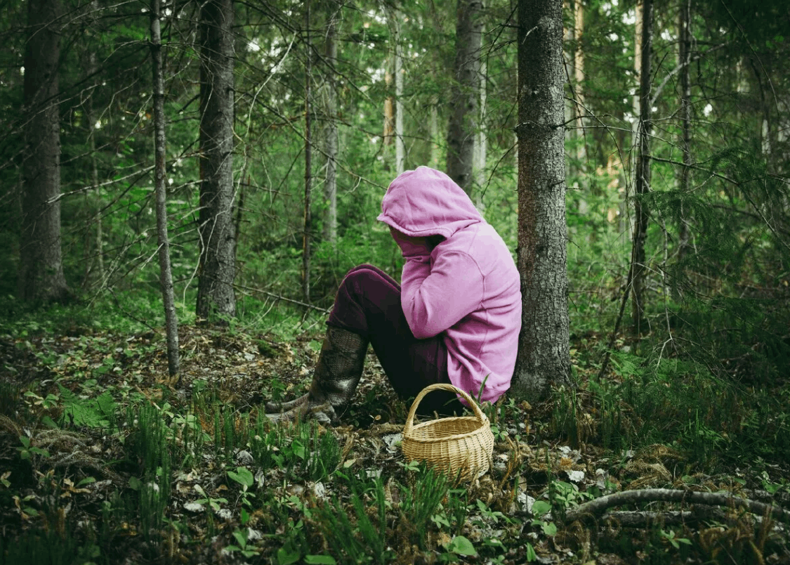 Беседа «Безопасный отдых на природе»