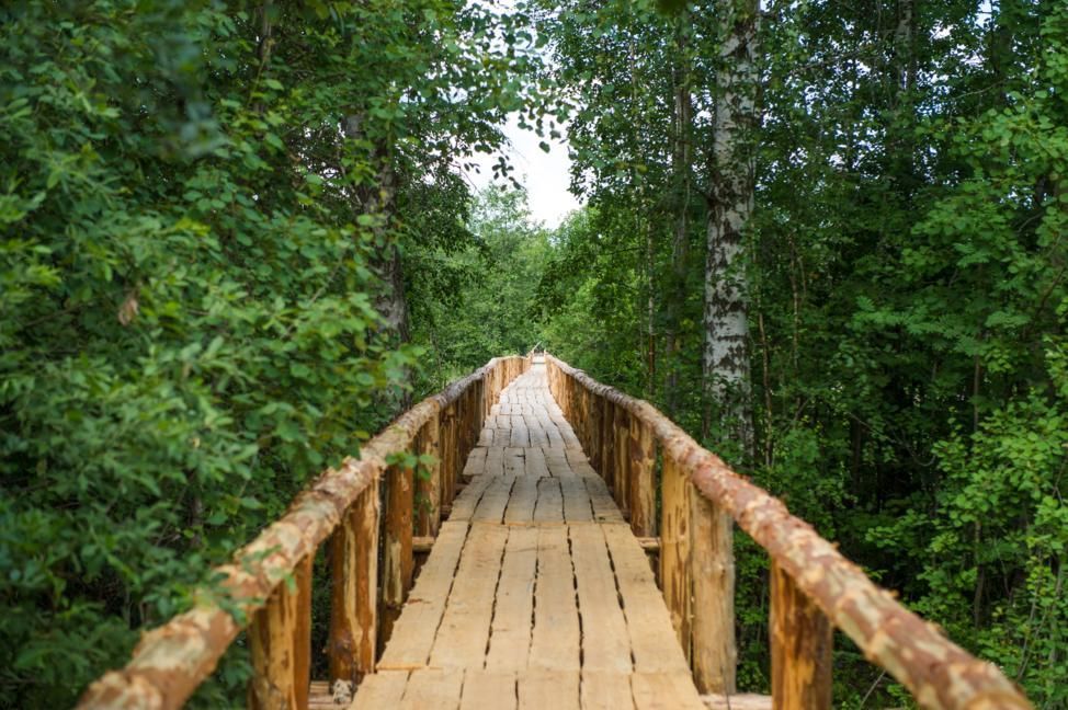Tipografsky Bridge-1