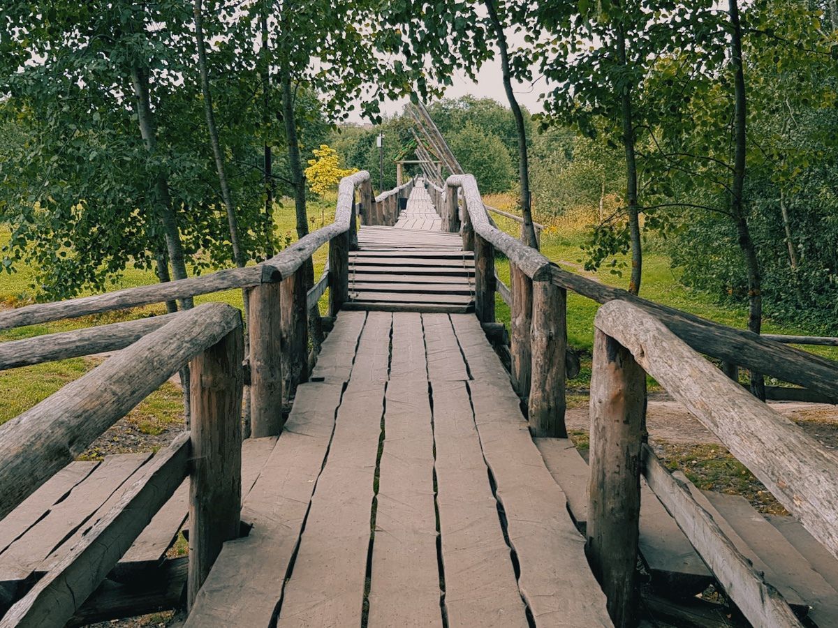 Tipografsky Bridge-0