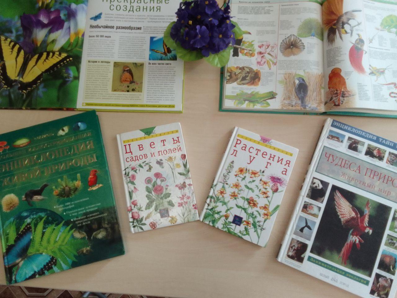 Книжная выставка «О созданиях удивительных и прекрасных»