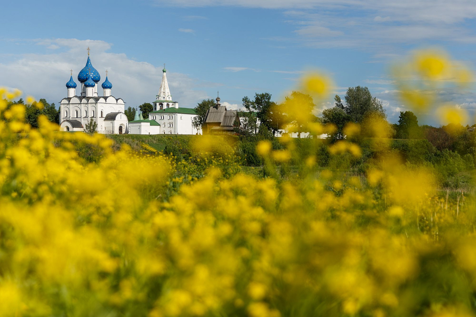 Suzdal Kremlin-6