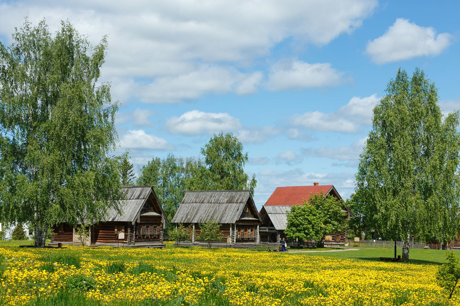 Wooden Architecture Museum-5