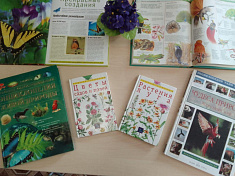 Книжная выставка «О созданиях удивительных и прекрасных»