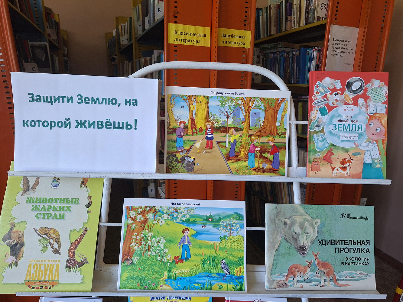 Книжная выставка «Защити Землю, на которой ты живешь!»
