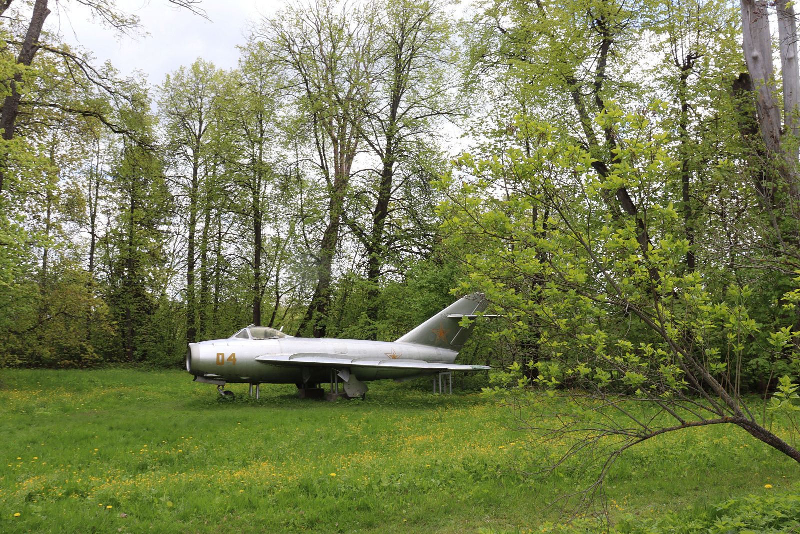 N.E. Zhukovsky's Estate Museum-5